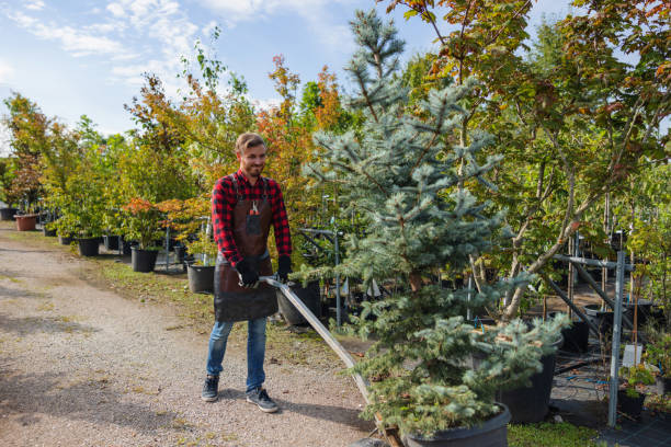 Best Fruit Tree Pruning  in Finneytown, OH